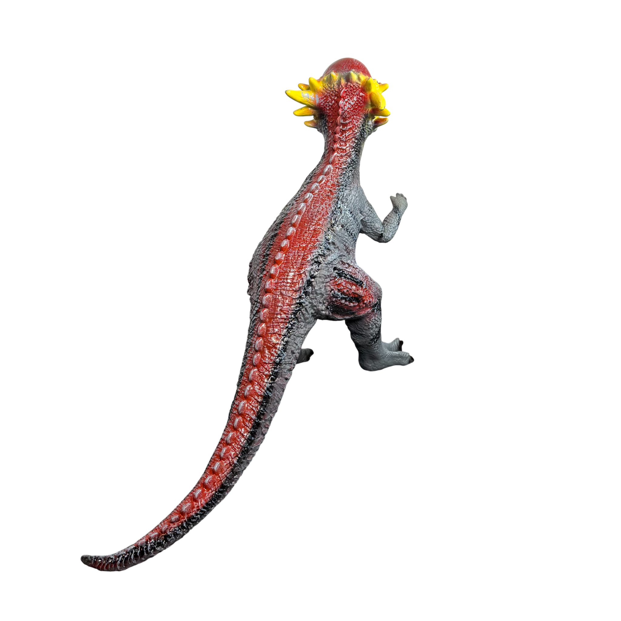 Dinozaur Pachycephalosaurus Explorer