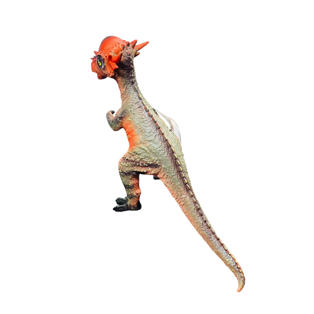 Dinozaur Pachycephalosaurus Baby